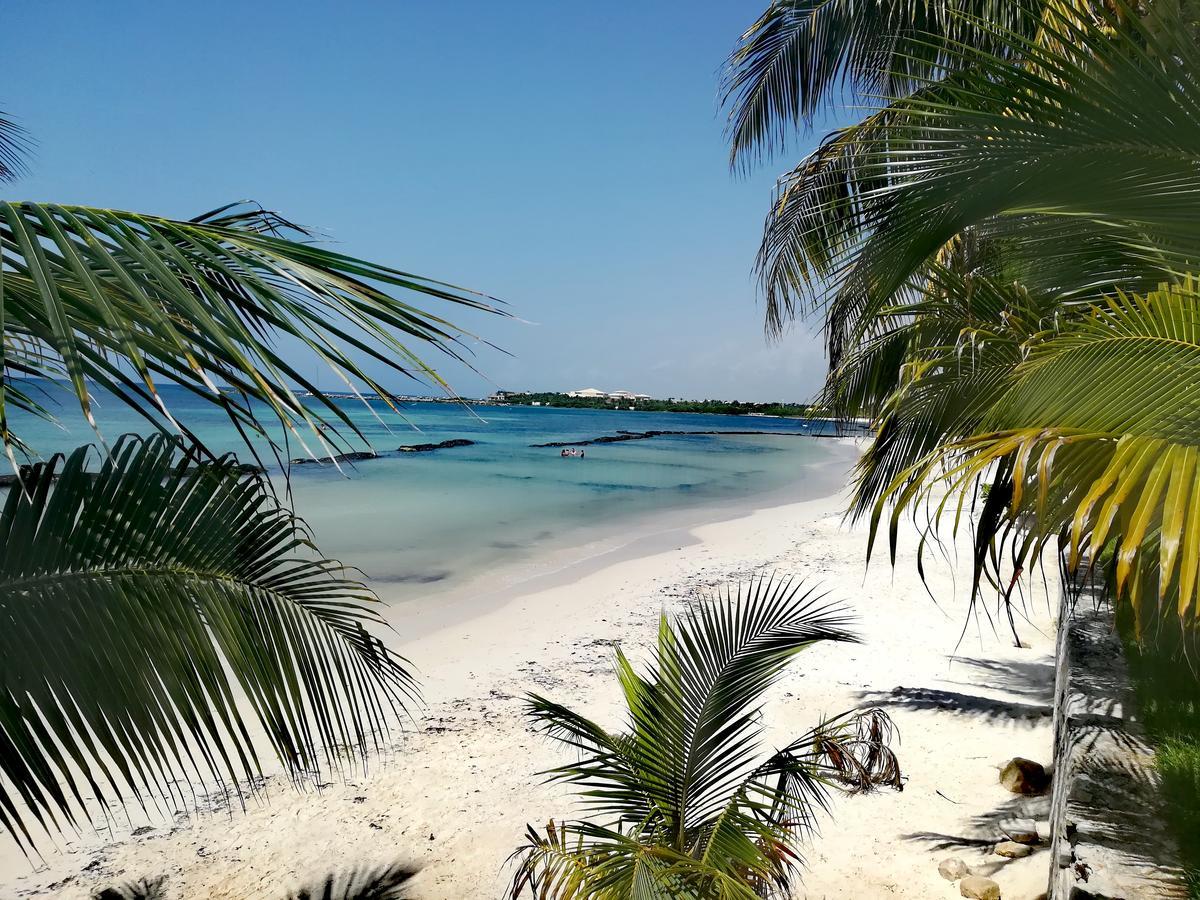 Villas Picalu Lodge Puerto Aventuras Luaran gambar